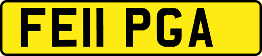 FE11PGA