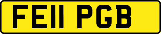 FE11PGB