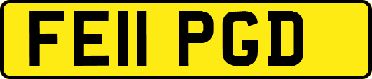FE11PGD