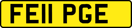 FE11PGE