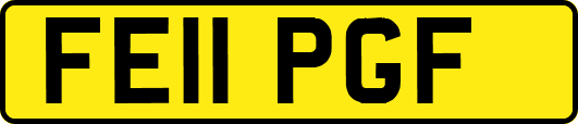 FE11PGF