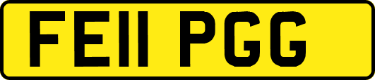 FE11PGG
