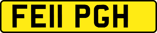 FE11PGH