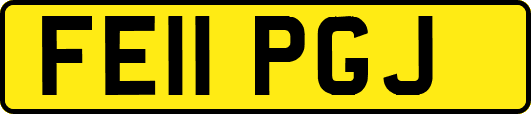 FE11PGJ