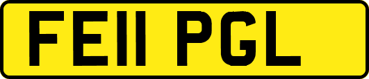 FE11PGL