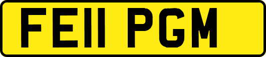 FE11PGM