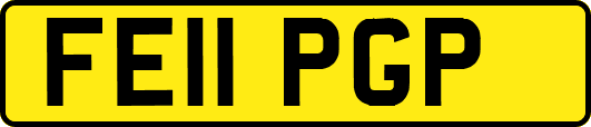 FE11PGP