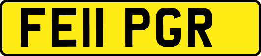 FE11PGR