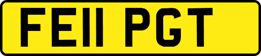 FE11PGT