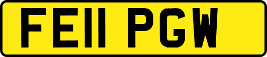 FE11PGW