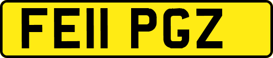 FE11PGZ