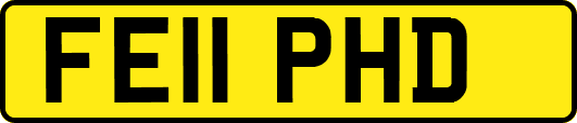 FE11PHD