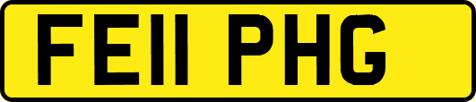FE11PHG