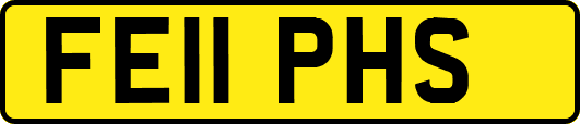 FE11PHS