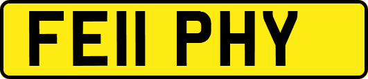 FE11PHY