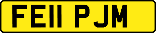 FE11PJM