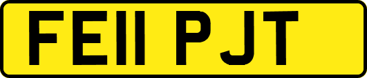 FE11PJT