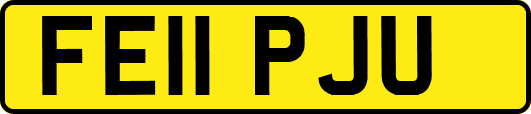 FE11PJU