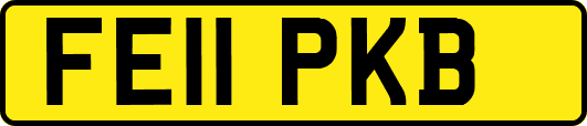 FE11PKB
