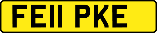 FE11PKE