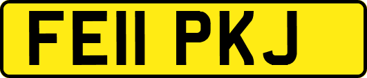 FE11PKJ