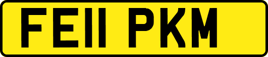 FE11PKM