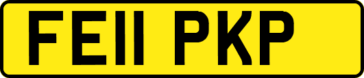 FE11PKP