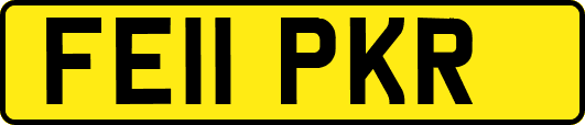 FE11PKR