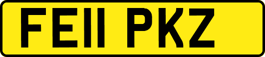 FE11PKZ