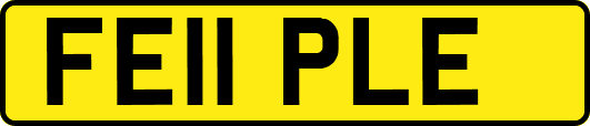 FE11PLE