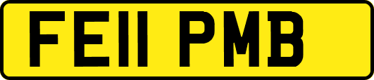 FE11PMB