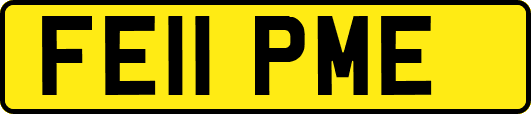 FE11PME