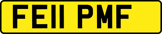 FE11PMF