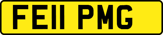 FE11PMG