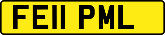 FE11PML