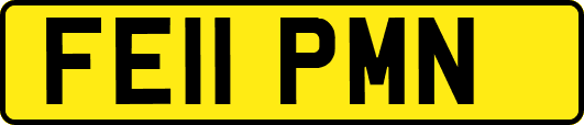 FE11PMN