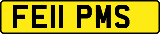 FE11PMS