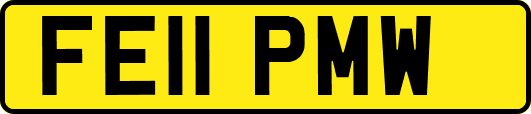FE11PMW