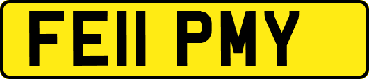 FE11PMY
