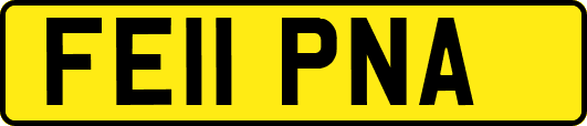 FE11PNA