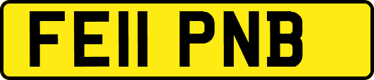 FE11PNB
