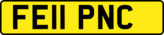 FE11PNC