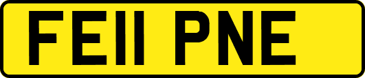 FE11PNE