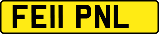 FE11PNL