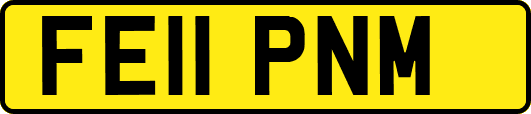 FE11PNM