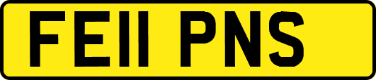 FE11PNS