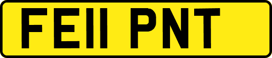 FE11PNT