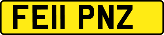 FE11PNZ