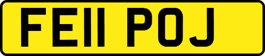 FE11POJ
