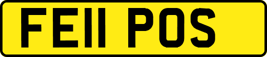 FE11POS